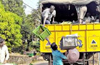 MCC to begin collecting segregated waste from November 1